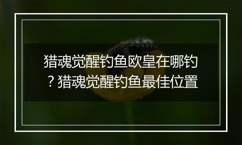 猎魂觉醒钓鱼欧皇在哪钓？猎魂觉醒钓鱼最佳位置