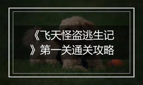 《飞天怪盗逃生记》第一关通关攻略