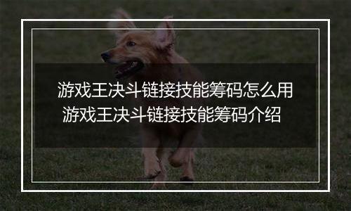 游戏王决斗链接技能筹码怎么用 游戏王决斗链接技能筹码介绍