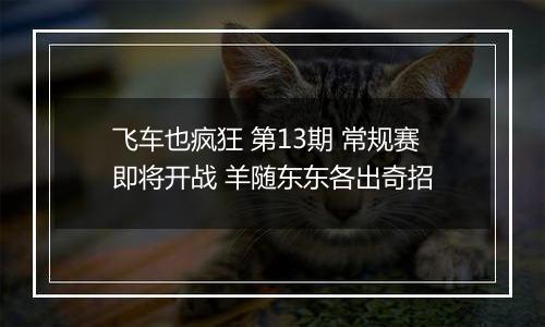 飞车也疯狂 第13期 常规赛即将开战 羊随东东各出奇招