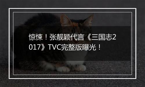 惊悚！张靓颖代言《三国志2017》TVC完整版曝光！