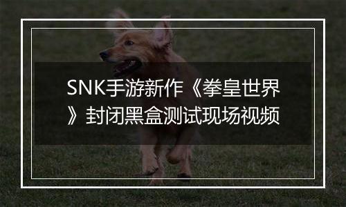 SNK手游新作《拳皇世界》封闭黑盒测试现场视频