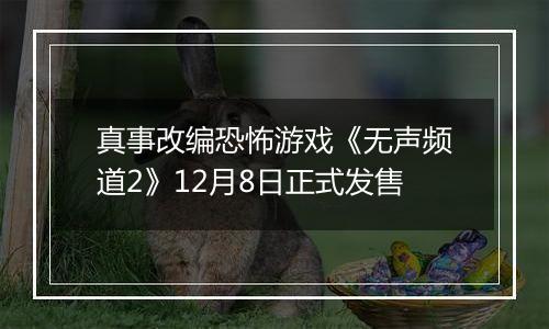 真事改编恐怖游戏《无声频道2》12月8日正式发售