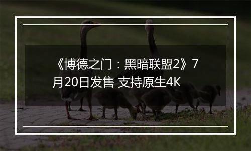 《博德之门：黑暗联盟2》7月20日发售 支持原生4K