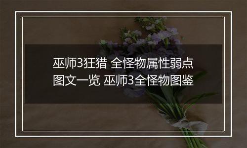 巫师3狂猎 全怪物属性弱点图文一览 巫师3全怪物图鉴