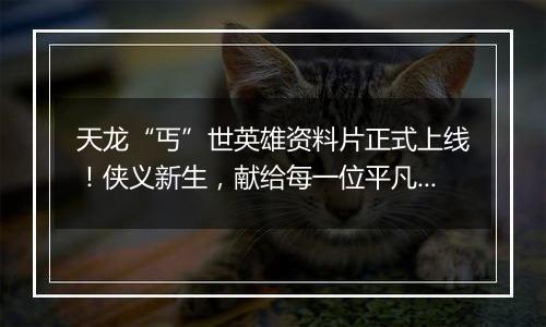 天龙“丐”世英雄资料片正式上线！侠义新生，献给每一位平凡生活中的你！