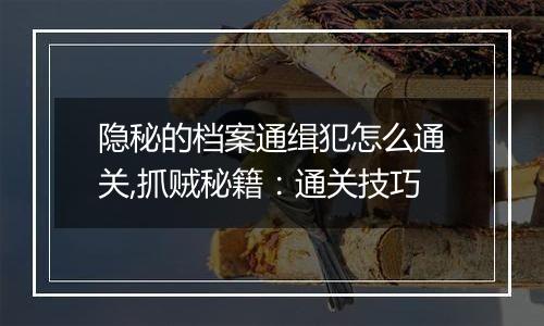 隐秘的档案通缉犯怎么通关,抓贼秘籍：通关技巧