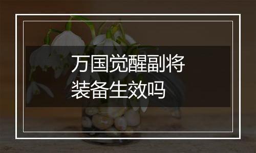 万国觉醒副将装备生效吗
