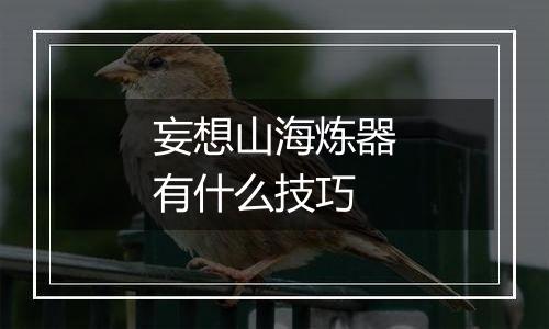 妄想山海炼器有什么技巧