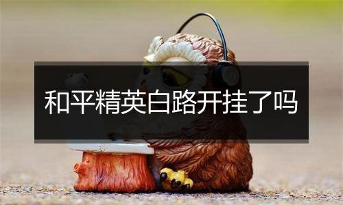 和平精英白路开挂了吗