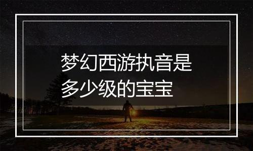 梦幻西游执音是多少级的宝宝