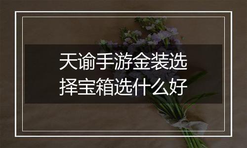 天谕手游金装选择宝箱选什么好