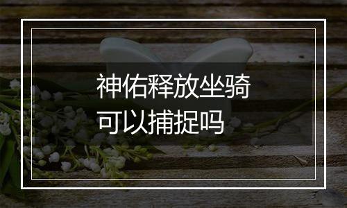 神佑释放坐骑可以捕捉吗