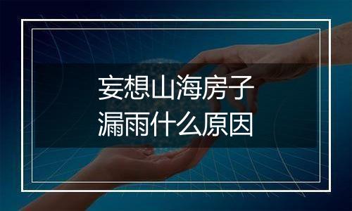 妄想山海房子漏雨什么原因