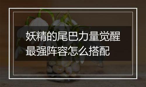 妖精的尾巴力量觉醒最强阵容怎么搭配