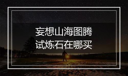 妄想山海图腾试炼石在哪买