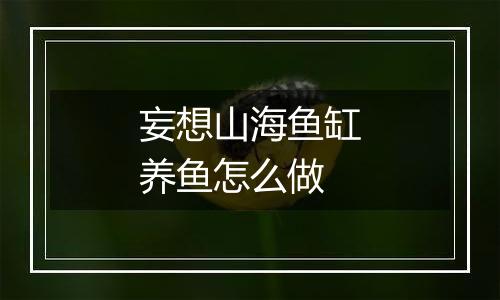 妄想山海鱼缸养鱼怎么做