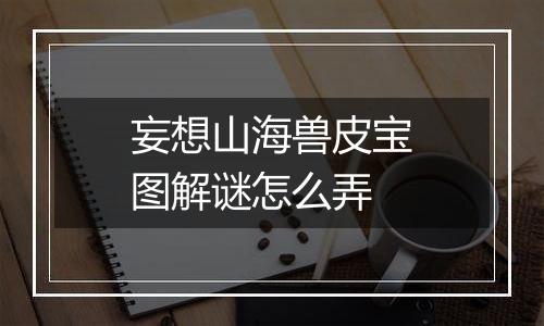 妄想山海兽皮宝图解谜怎么弄