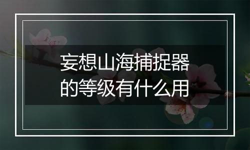 妄想山海捕捉器的等级有什么用