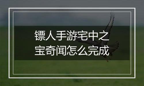 镖人手游宅中之宝奇闻怎么完成