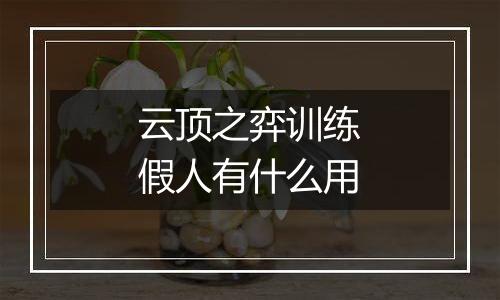 云顶之弈训练假人有什么用