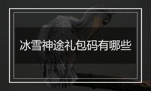冰雪神途礼包码有哪些