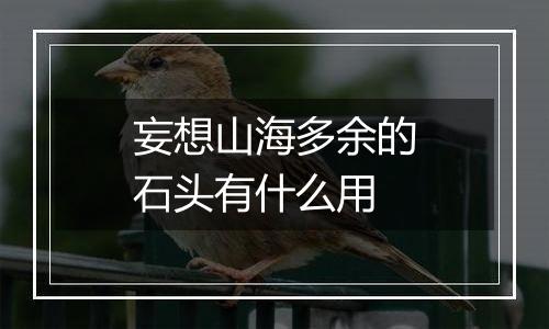 妄想山海多余的石头有什么用