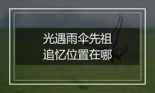 光遇雨伞先祖追忆位置在哪
