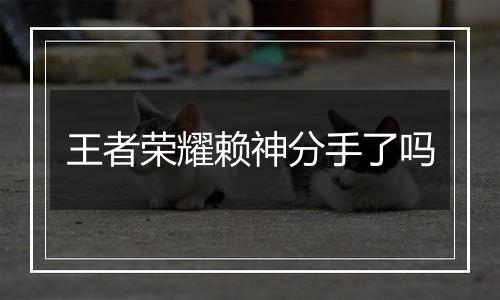 王者荣耀赖神分手了吗