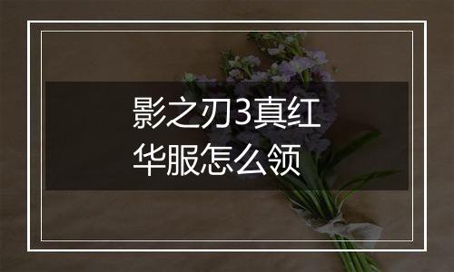 影之刃3真红华服怎么领