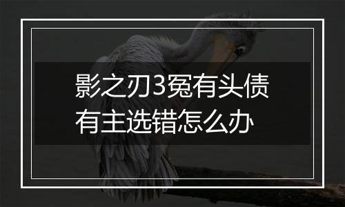 影之刃3冤有头债有主选错怎么办