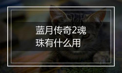 蓝月传奇2魂珠有什么用