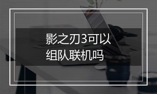 影之刃3可以组队联机吗