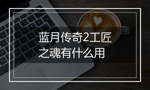 蓝月传奇2工匠之魂有什么用