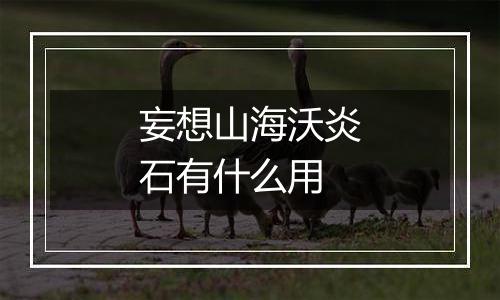 妄想山海沃炎石有什么用