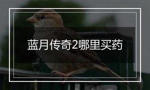 蓝月传奇2哪里买药