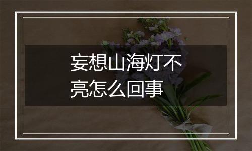 妄想山海灯不亮怎么回事