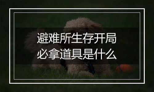 避难所生存开局必拿道具是什么