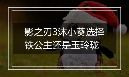 影之刃3沐小葵选择铁公主还是玉玲珑