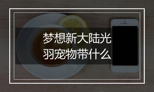 梦想新大陆光羽宠物带什么