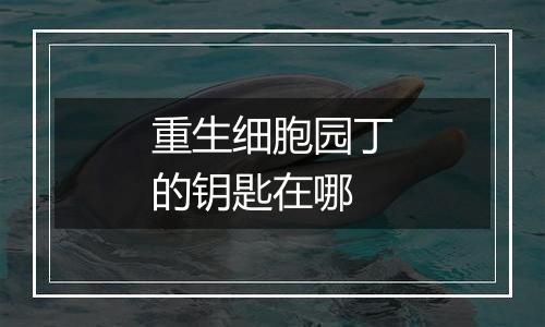 重生细胞园丁的钥匙在哪