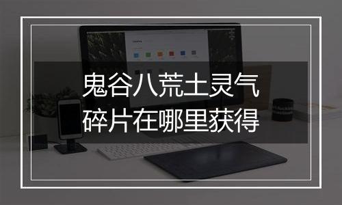 鬼谷八荒土灵气碎片在哪里获得
