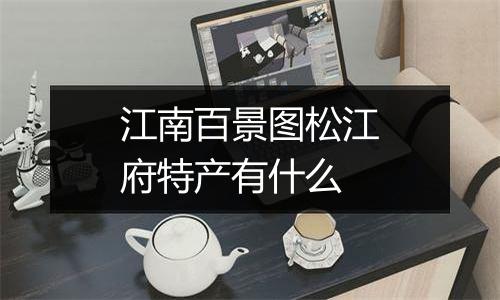 江南百景图松江府特产有什么