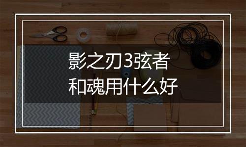 影之刃3弦者和魂用什么好