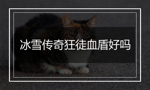 冰雪传奇狂徒血盾好吗