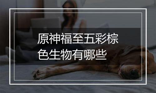 原神福至五彩棕色生物有哪些