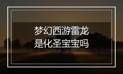 梦幻西游雷龙是化圣宝宝吗