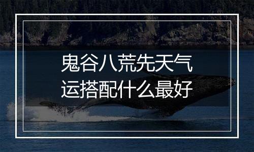 鬼谷八荒先天气运搭配什么最好