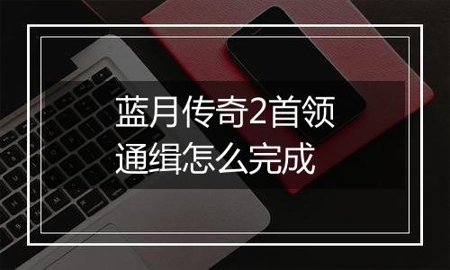 蓝月传奇2首领通缉怎么完成