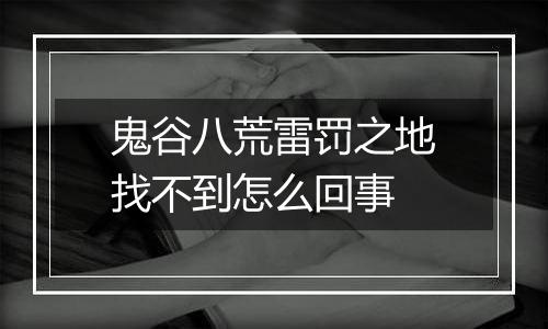 鬼谷八荒雷罚之地找不到怎么回事